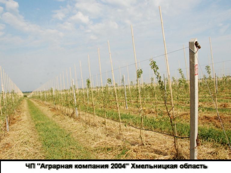 ПП Аграрна компанія 2004, Хмельницька область
